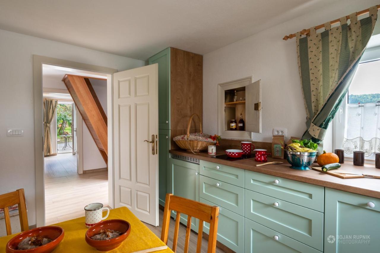 Cherry House - Cosy House - Ideal For Bear Watching, In The Neighborhood Of The Medieval Sneznik Castle Stari Trg pri Lozu Exteriér fotografie