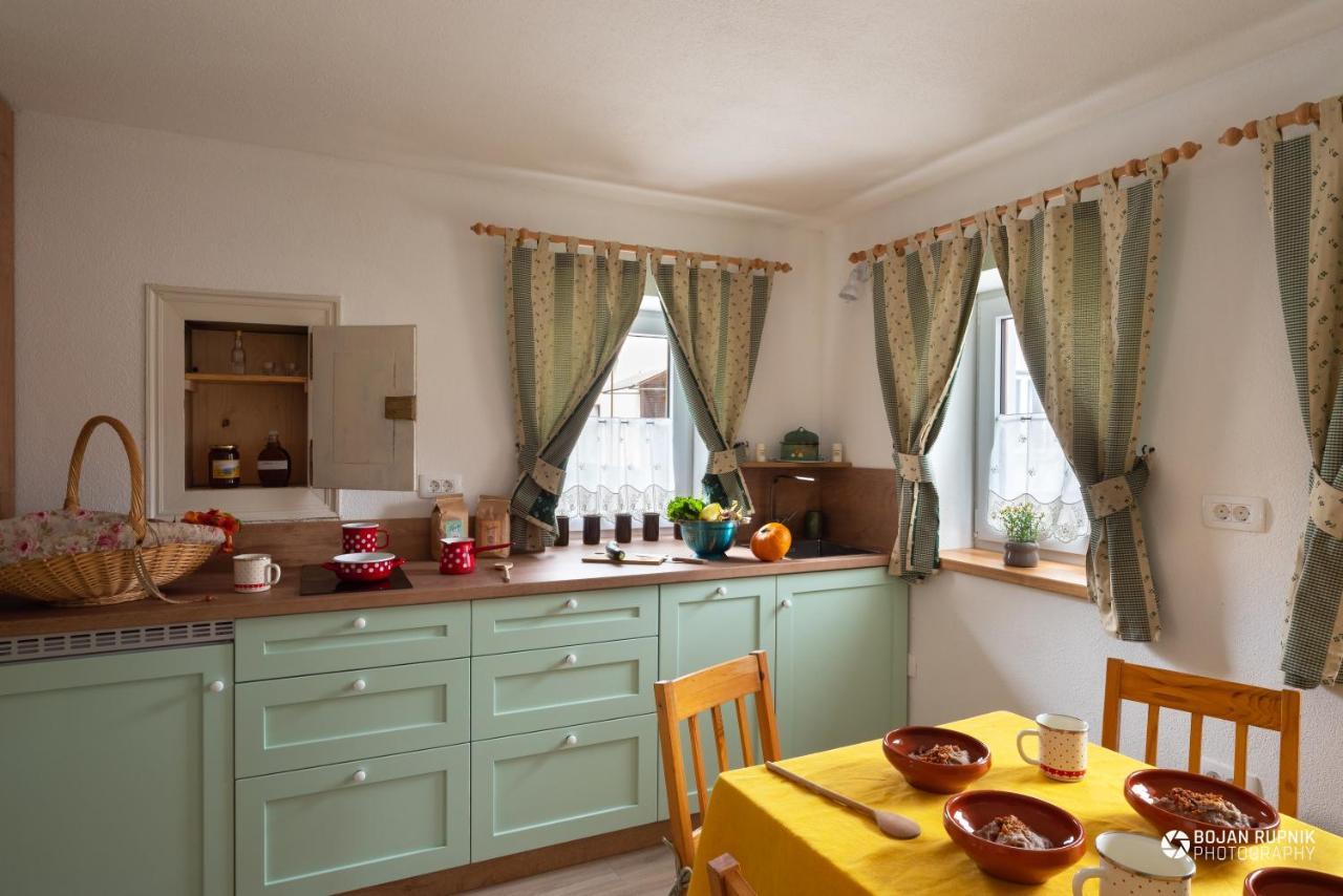 Cherry House - Cosy House - Ideal For Bear Watching, In The Neighborhood Of The Medieval Sneznik Castle Stari Trg pri Lozu Exteriér fotografie
