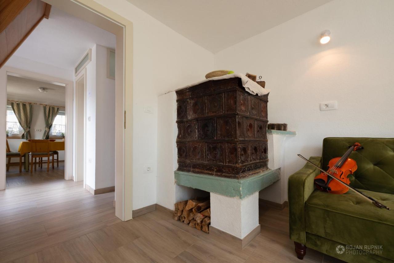 Cherry House - Cosy House - Ideal For Bear Watching, In The Neighborhood Of The Medieval Sneznik Castle Stari Trg pri Lozu Exteriér fotografie