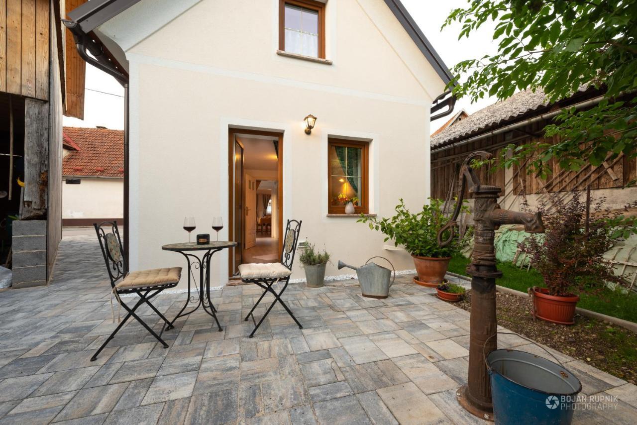 Cherry House - Cosy House - Ideal For Bear Watching, In The Neighborhood Of The Medieval Sneznik Castle Stari Trg pri Lozu Exteriér fotografie