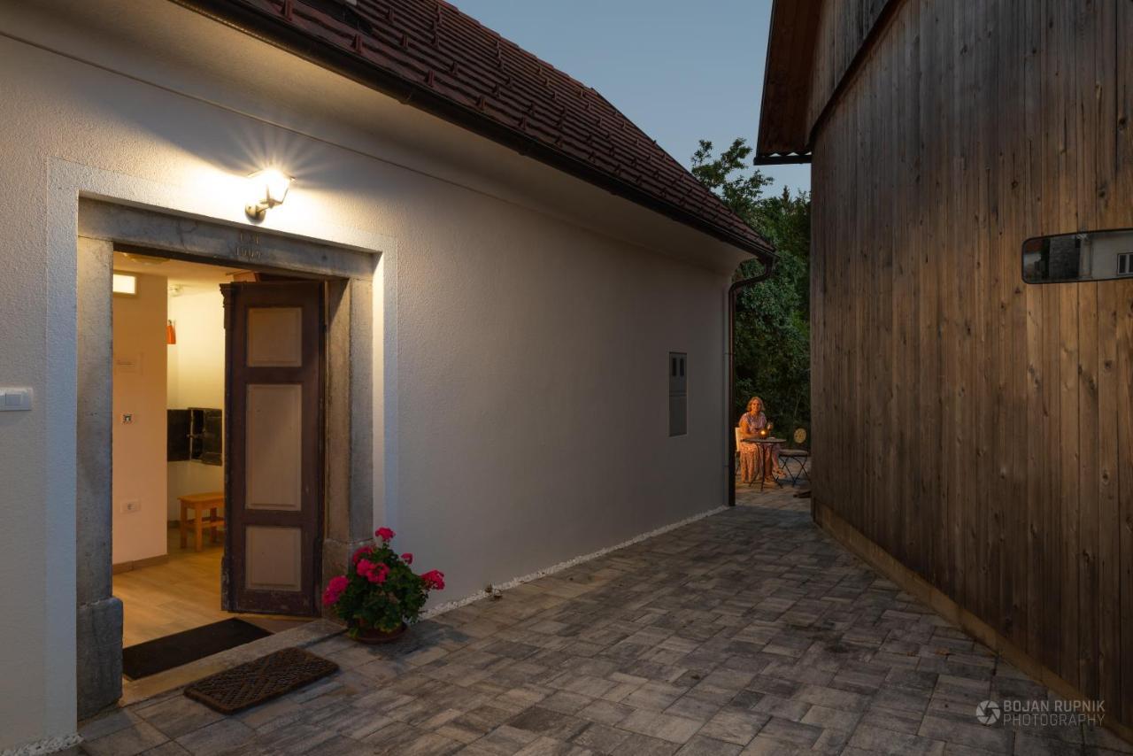 Cherry House - Cosy House - Ideal For Bear Watching, In The Neighborhood Of The Medieval Sneznik Castle Stari Trg pri Lozu Exteriér fotografie
