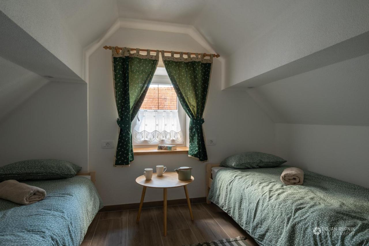 Cherry House - Cosy House - Ideal For Bear Watching, In The Neighborhood Of The Medieval Sneznik Castle Stari Trg pri Lozu Exteriér fotografie