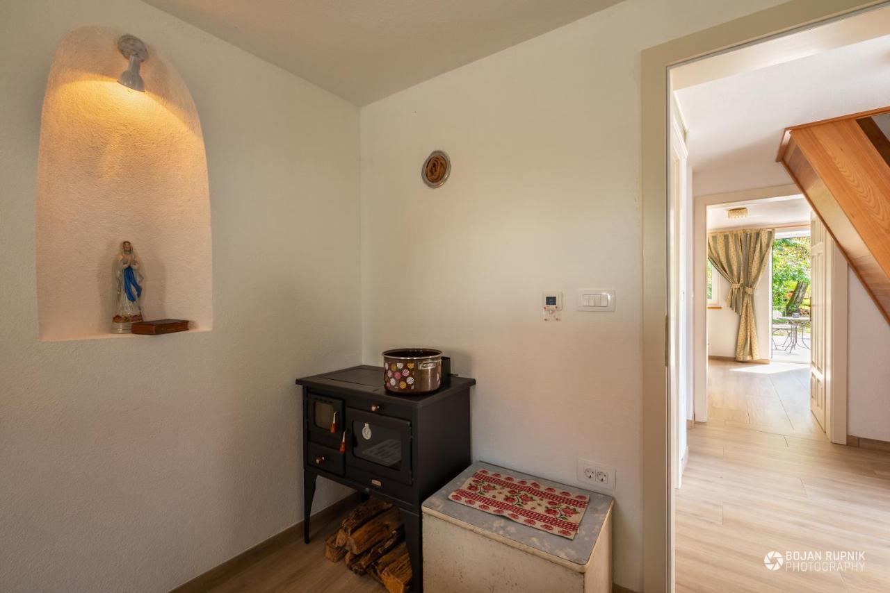 Cherry House - Cosy House - Ideal For Bear Watching, In The Neighborhood Of The Medieval Sneznik Castle Stari Trg pri Lozu Exteriér fotografie