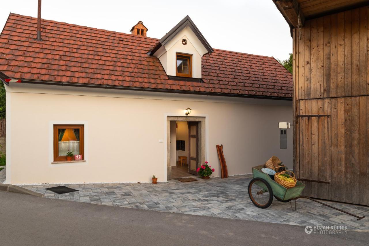 Cherry House - Cosy House - Ideal For Bear Watching, In The Neighborhood Of The Medieval Sneznik Castle Stari Trg pri Lozu Exteriér fotografie