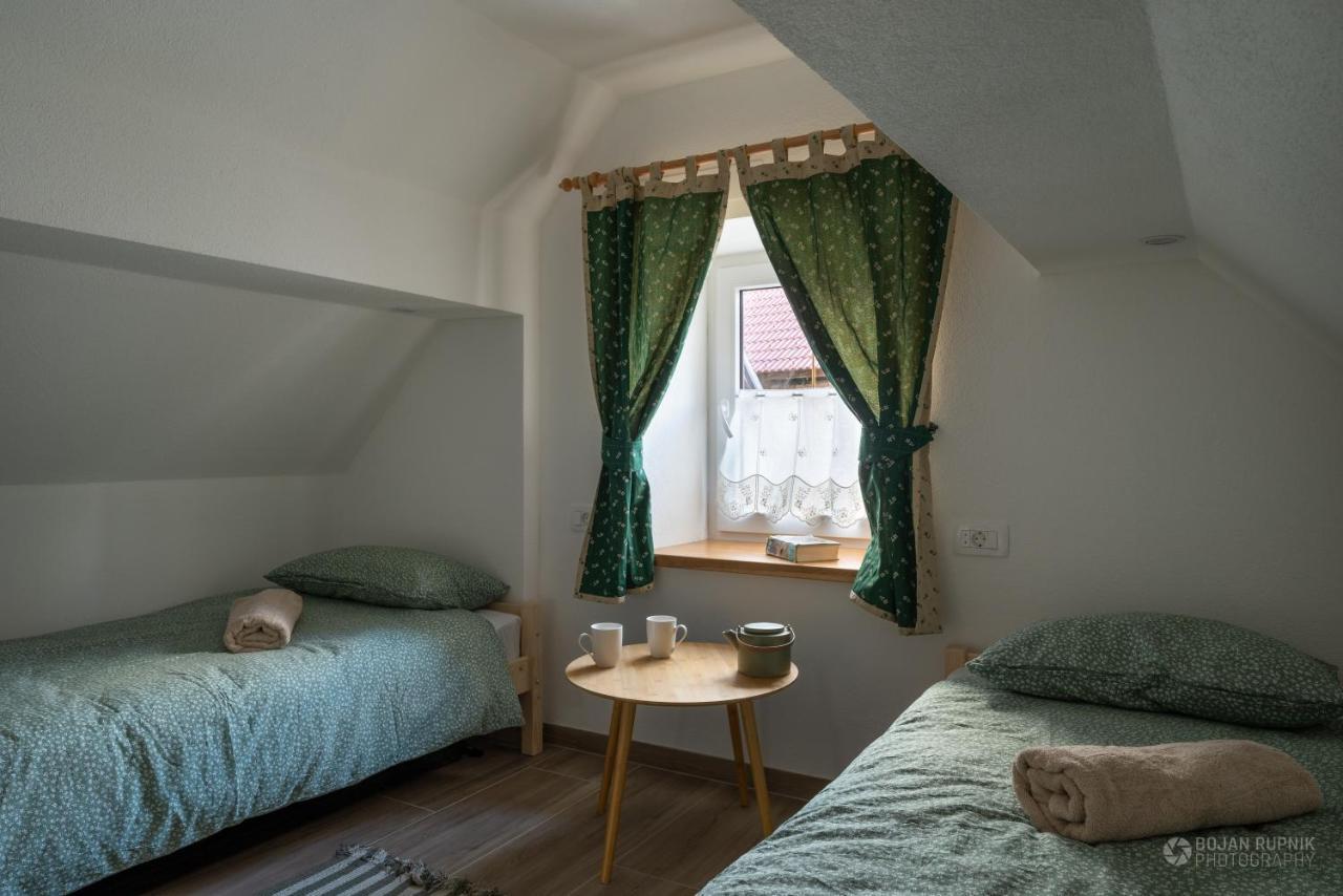 Cherry House - Cosy House - Ideal For Bear Watching, In The Neighborhood Of The Medieval Sneznik Castle Stari Trg pri Lozu Exteriér fotografie