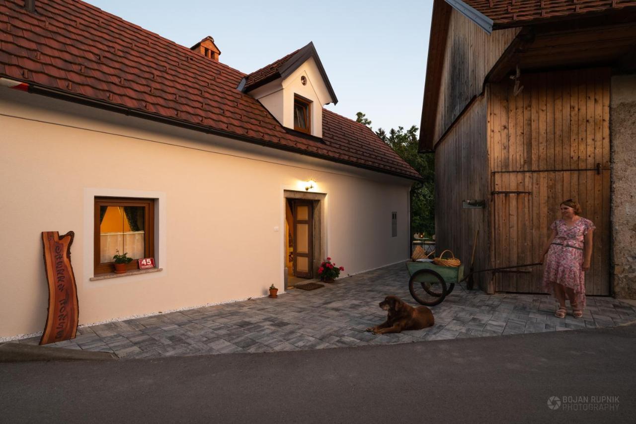 Cherry House - Cosy House - Ideal For Bear Watching, In The Neighborhood Of The Medieval Sneznik Castle Stari Trg pri Lozu Exteriér fotografie